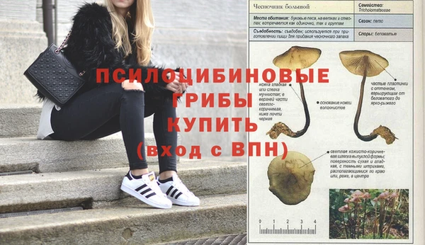ALPHA-PVP Струнино