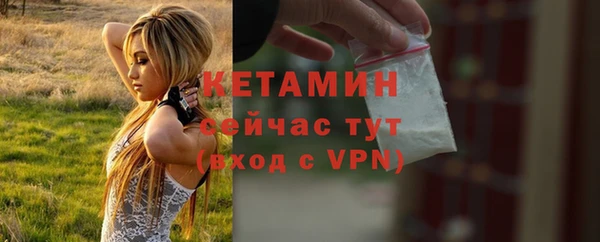 СК Сосновый Бор