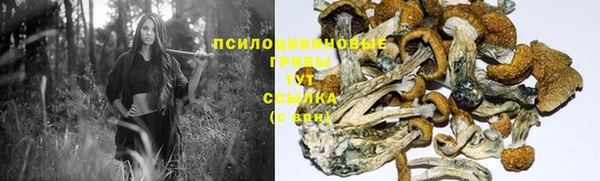 Альфа ПВП Строитель